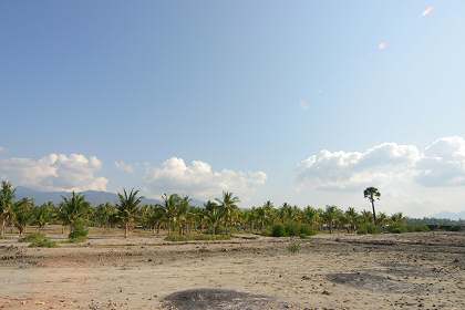 View Bali Real Estate
