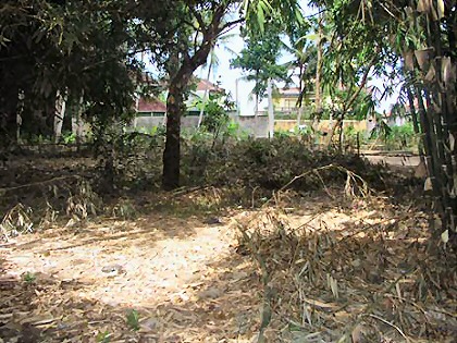 View of Land Bali Real Estate