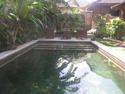 Swimming pool Bali Real Estate