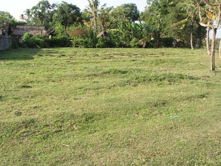 View left side Bali Real Estate