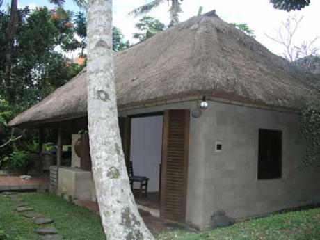 Main villa Bali Real Estate