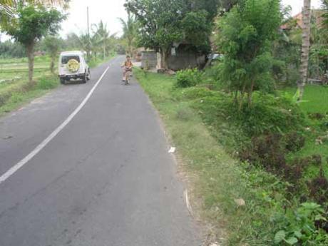 Access road Bali Real Estate