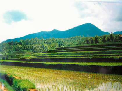 Land View Bali Real Estate
