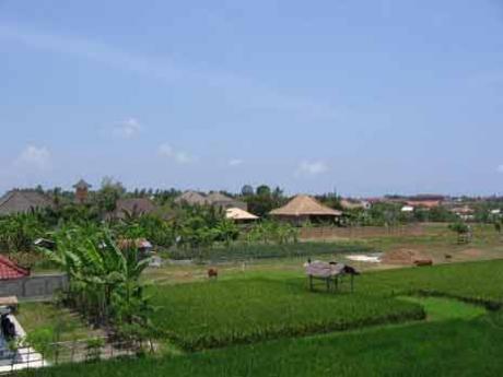 View from balcony Bali Real Estate