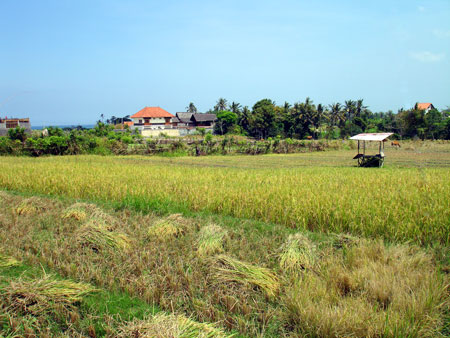 Ocean View Land Bali Real Estate