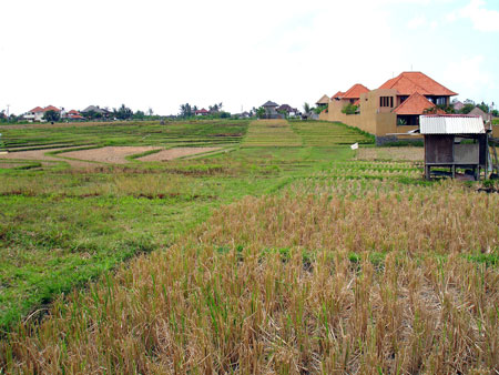 Land View Bali Real Estate