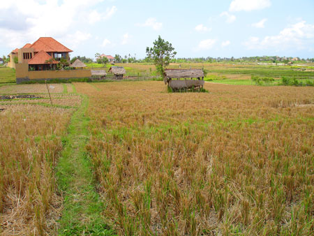 View of Land Bali Real Estate