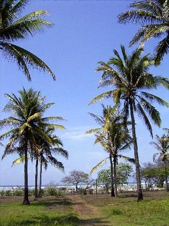 view to beach Bali Real Estate