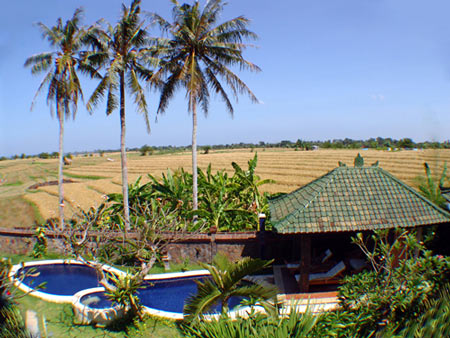 Villa Paddy View Bali Real Estate