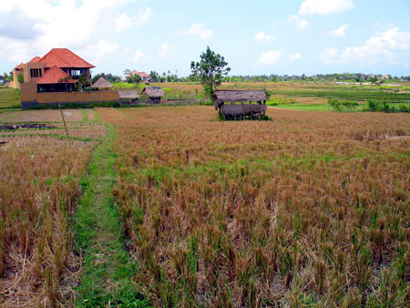 View 1 Bali Real Estate
