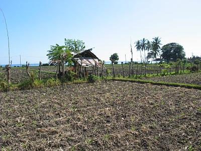 View of Land Bali Real Estate