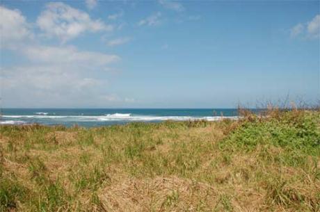The Beach Bali Real Estate