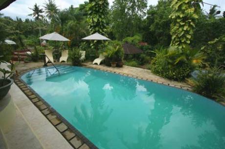 Pool View Bali Real Estate