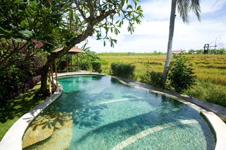 Paddy Pool Bali Real Estate