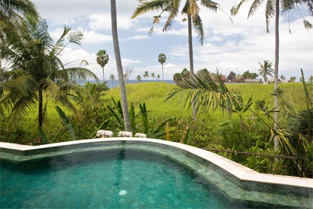 Free form Pool Bali Real Estate