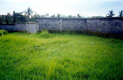 Ubud Land For Sale Bali Real Estate