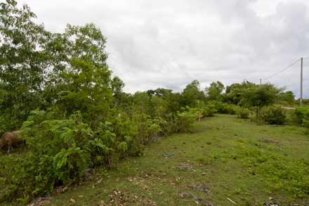 Sloping Bukit Land Bali Real Estate