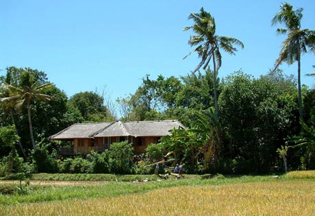 View on Bungalow Bali Real Estate