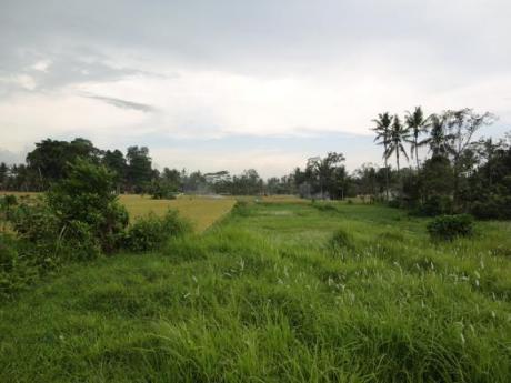 View east Bali Real Estate