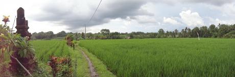Land in Blayu Bali Real Estate
