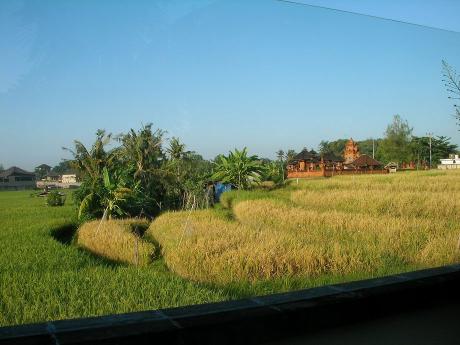 Paddyfield view Bali Real Estate