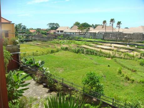 Rice fields view Bali Real Estate