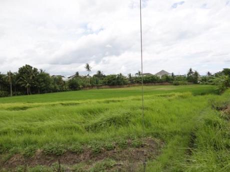 Land in Echobeach Bali Real Estate