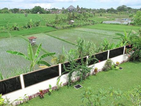 Rice paddy view Bali Real Estate