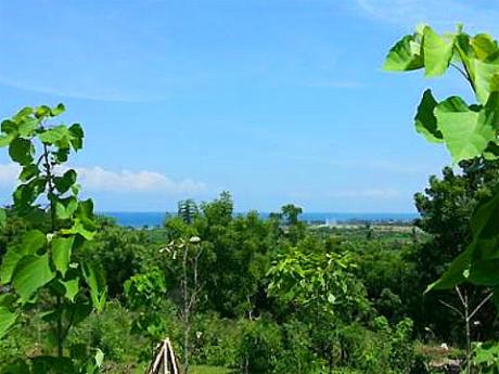 View from Location 1 Bali Real Estate