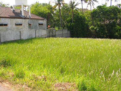 Land for Sale view Bali Real Estate