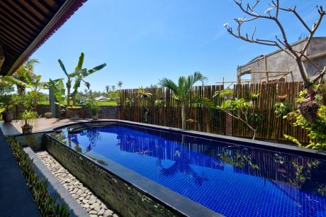 Pool and View Bali Real Estate