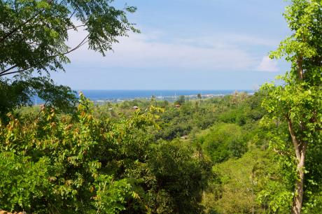 Land View One Bali Real Estate