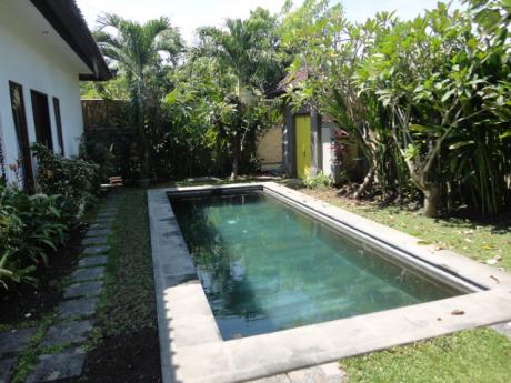 Well sized swimming pool Bali Real Estate