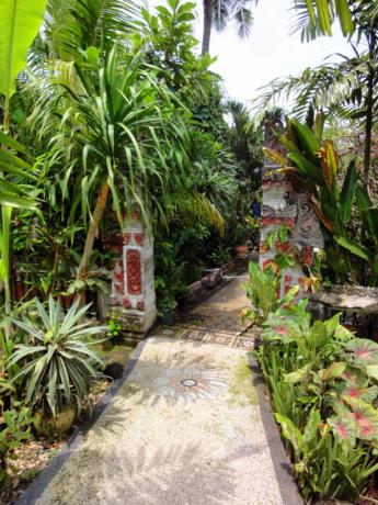 Lush tropical garden in the complex Bali Real Estate