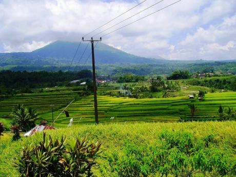 View on rice paddies, mountains and even the ocean Bali Real Estate