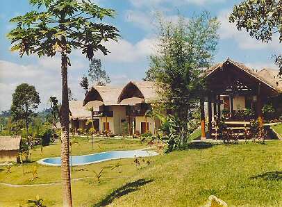 Bungalows and Pool Bali Real Estate