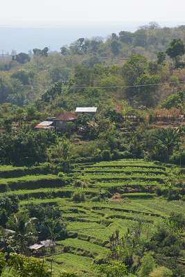 View from Hotel Bali Real Estate