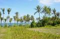 Seseh Beach Front Land Coconut Palms