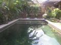 Villa Jangkrik Swimming pool