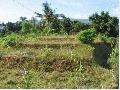 The Land, Land near village in Lovina, Ideal to build a holiday or permanent residence
