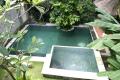 Swimming Pool, Villa Umalas II, Villa with beautiful river view