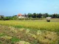Ocean View Land, 2 are of Canggu land, Freehold close to the beach