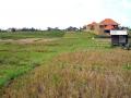 Land View, Canggu Land for sale, 300m from the beach