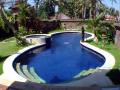 Ricefield Villa Canggu Pool