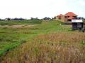 Canggu 26.5 are freehold plot View 1