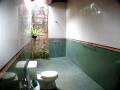 Fantastic Ubud Villa bathroom 2