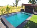 Ultra Modern Villa with rice field views Pool