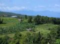 North Bali land with a View Rice Terraces View