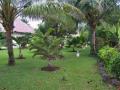 Large Bukti Villa Garden