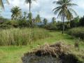 North-West Bali Beach Plots Land View Two